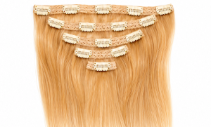 Clip-in Weft extensions #22